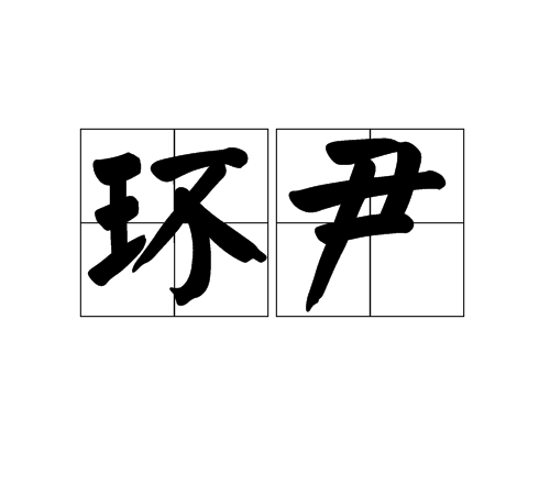 環尹 環尹