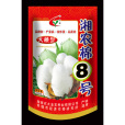 湘農棉8號 湘農棉8號