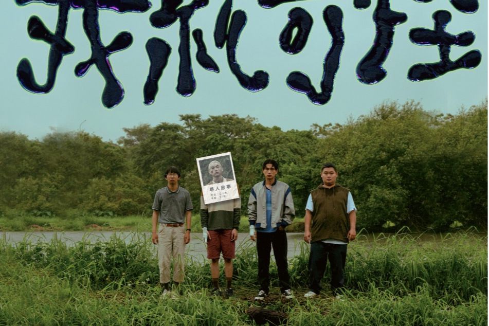 我就奇怪 我就奇怪