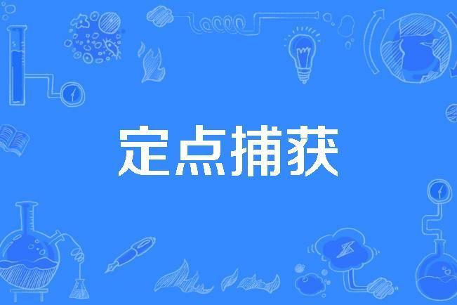定點捕獲 定點捕獲
