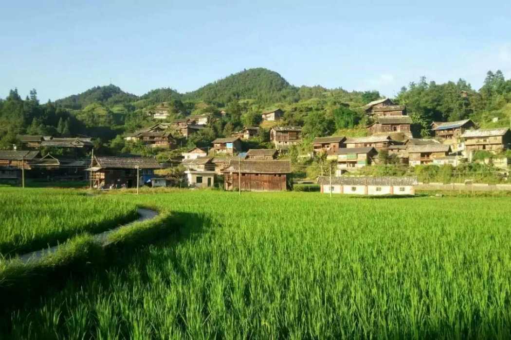 孔慶村 孔慶村