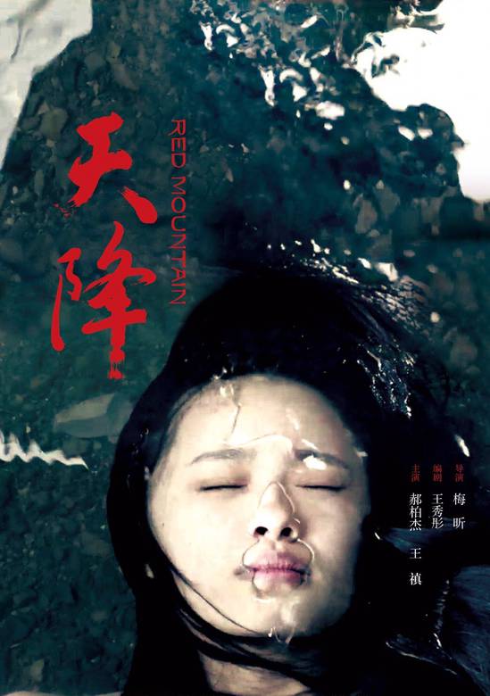 天降(2016年上映電影)