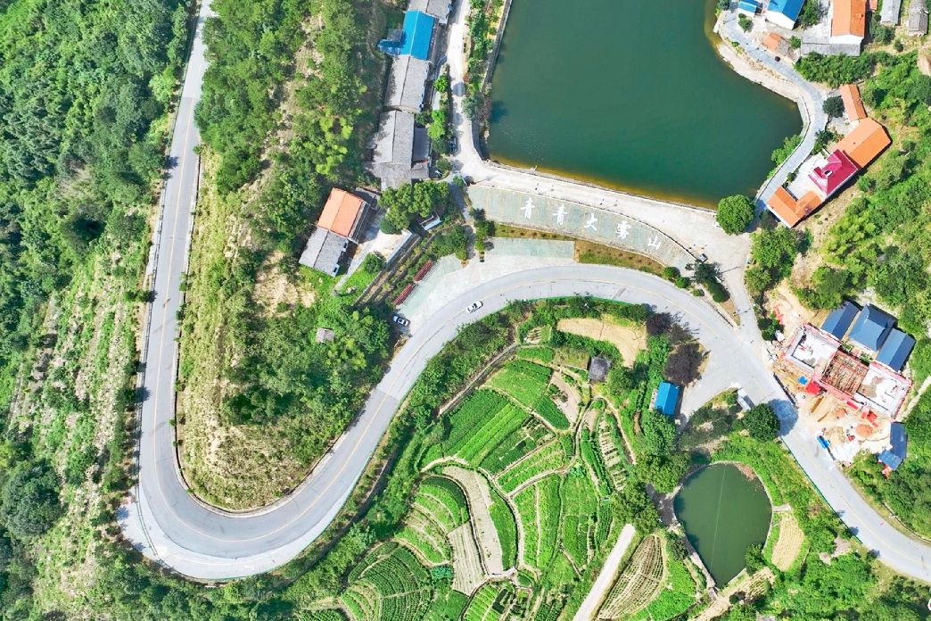 馮道線 馮道線