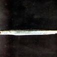 寬尾頜針魚 寬尾頜針魚
