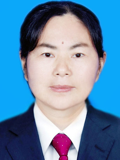 張曉輝(鹹寧市司法局黨委委員、派駐紀檢組長) 張曉輝(鹹寧市司法局黨委委員、派駐紀檢組長)