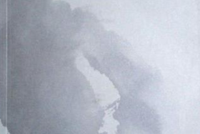 華文文學(2007年福建人民出版社出版的圖書) 華文文學(2007年福建人民出版社出版的圖書)