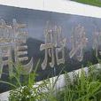 龍船埩村 龍船埩村