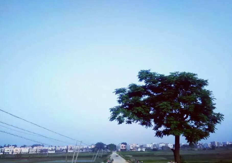山隴村(惠來縣山隴村) 山隴村(惠來縣山隴村)