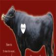 Beef Mania 2 Beef Mania 2