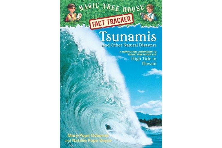 Tsunamis and Other Natural Disasters Tsunamis and Other Natural Disasters