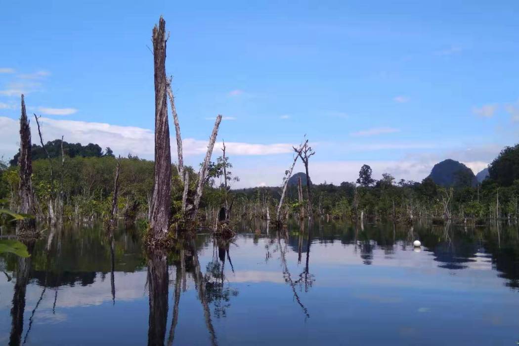 甲米鏡湖 甲米鏡湖