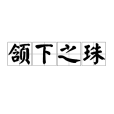 頷下之珠 頷下之珠