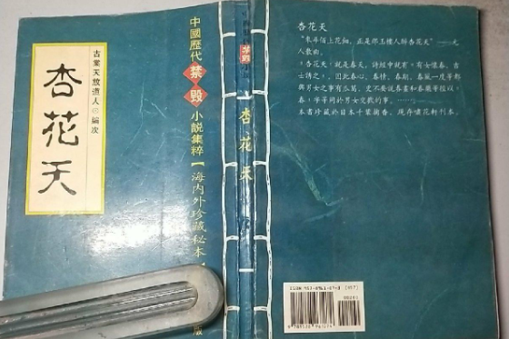 杏花天(清代小說) 杏花天(清代小說)