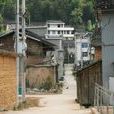 中村村(浙江省慶元縣隆宮鄉下轄村) 中村村(浙江省慶元縣隆宮鄉下轄村)