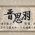 晉思羽(小說《凰權》人物) 晉思羽(小說《凰權》人物)