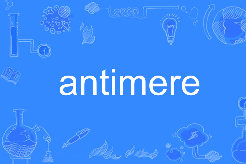antimere