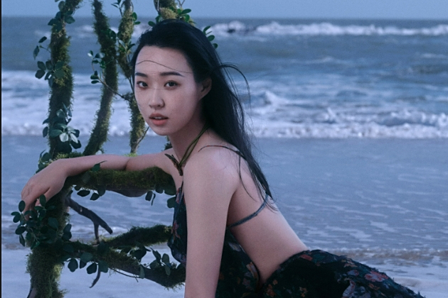 秦夏 秦夏