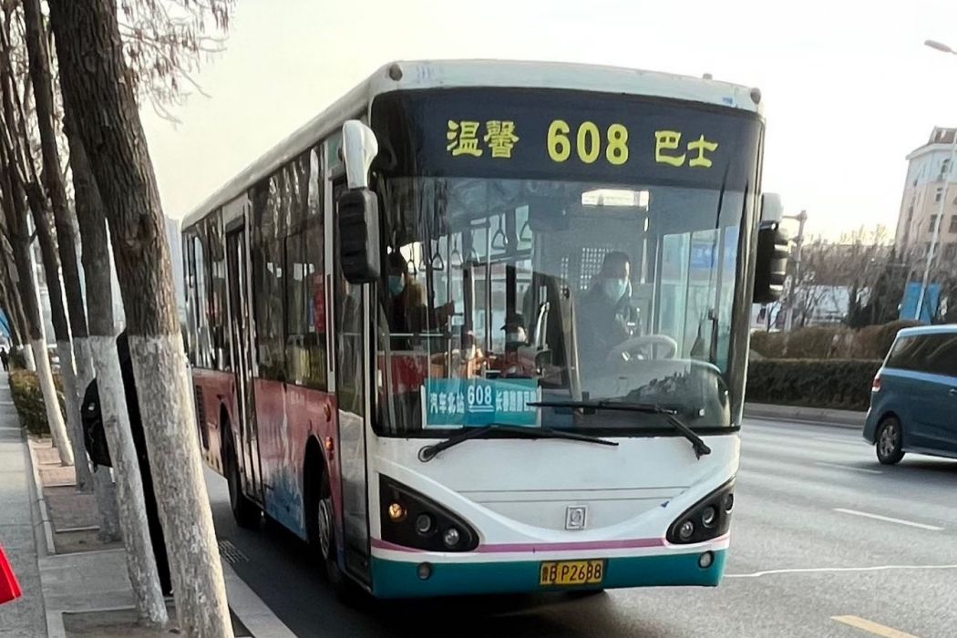 青島公交608路 青島公交608路