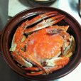 砂鍋螃蟹 砂鍋螃蟹
