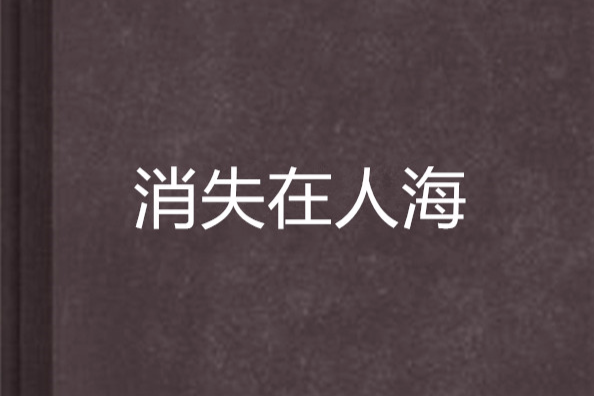 消失在人海 消失在人海