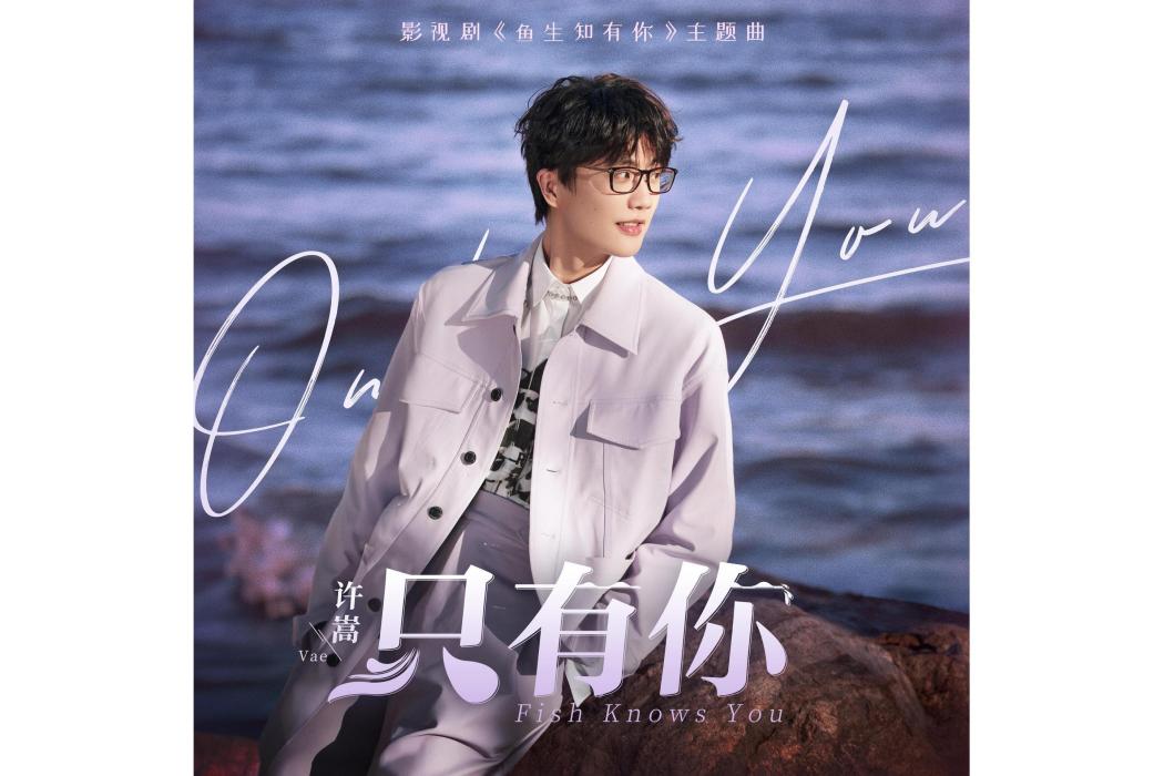 只有你(許嵩創作演唱的歌曲) 只有你(許嵩創作演唱的歌曲)