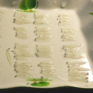 魩仔魚