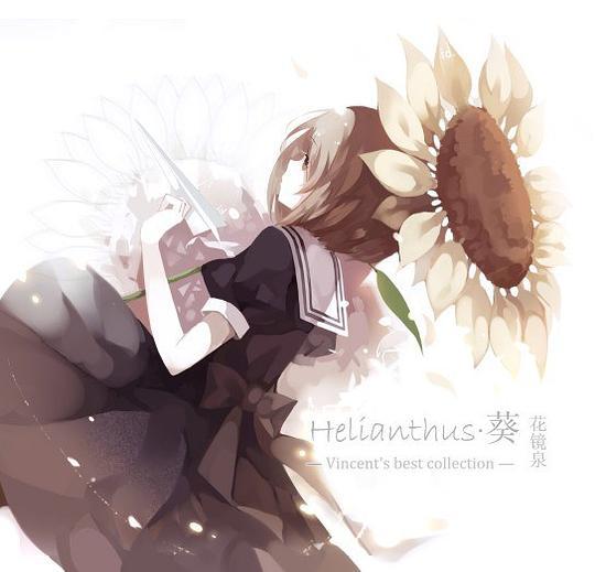 Helianthus·葵 Helianthus·葵