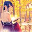 Fate/Metempsychosis Fate/Metempsychosis