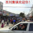 西劉集鎮(河南省鄭州市中牟縣劉集鎮) 西劉集鎮(河南省鄭州市中牟縣劉集鎮)