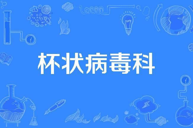 杯狀病毒科 杯狀病毒科