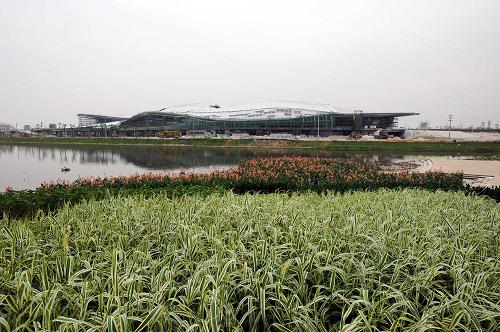 廣州亞運城綜合體育館周圍的濕地生態系統。