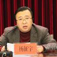 楊征宇(海歸學者)