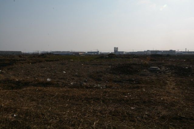 老墩子遺址 老墩子遺址