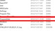 Program Data Program Data