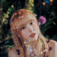 朴珍(LILY（歌手、女子演唱組合NMIXX成員）)