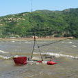 鉛魚 鉛魚