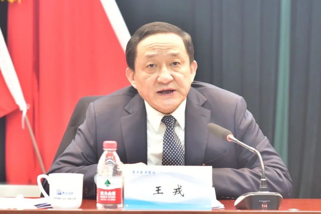 王戎(淮河能源原董事長,董事) 王戎(淮河能源原董事長,董事)