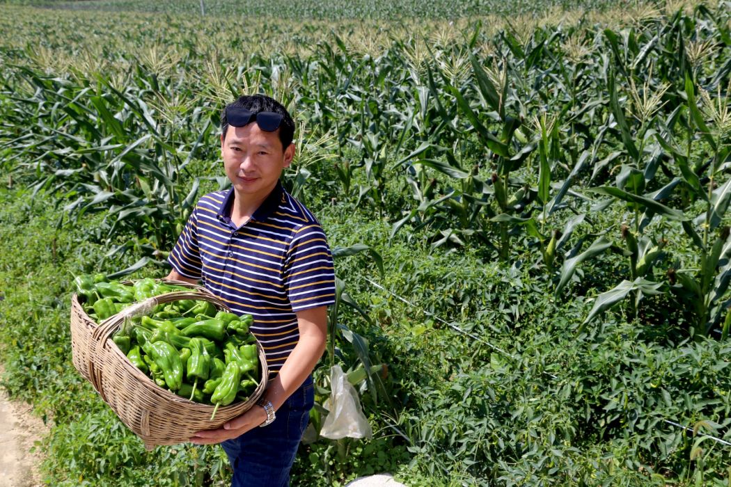 胡兵(泊頭市園農種植專業合作社理事長) 胡兵(泊頭市園農種植專業合作社理事長)