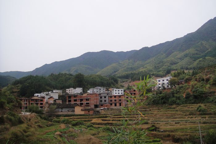 張坪自然村 張坪自然村