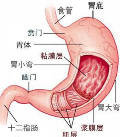 胃腸脹氣