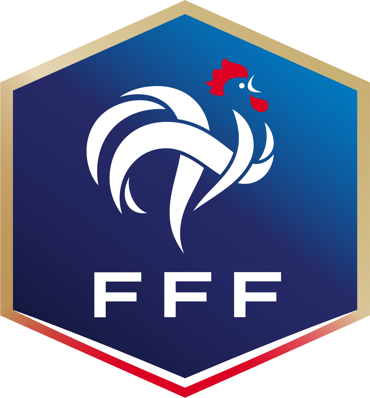法國足球協會(法國足球總會)