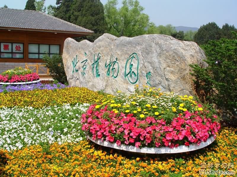 北京植物園(北京市植物園)
