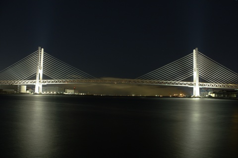 鋼斜拉橋