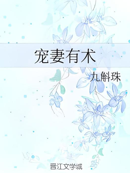 寵妻有術 寵妻有術