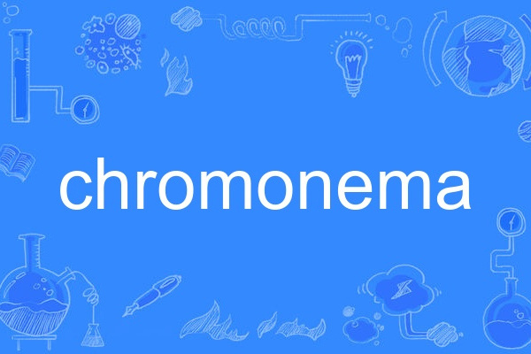 chromonema chromonema