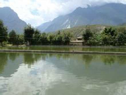 金宏村 金宏村