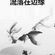 流落在邊緣 流落在邊緣
