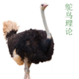鴕鳥理論 鴕鳥理論