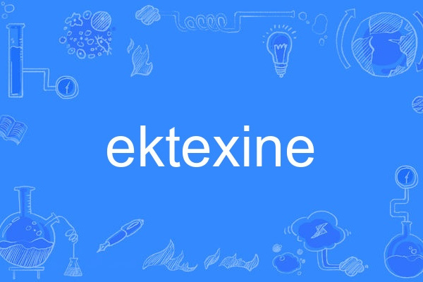 ektexine ektexine