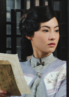 天涯歌女(2008年張柏芝主演電視劇)